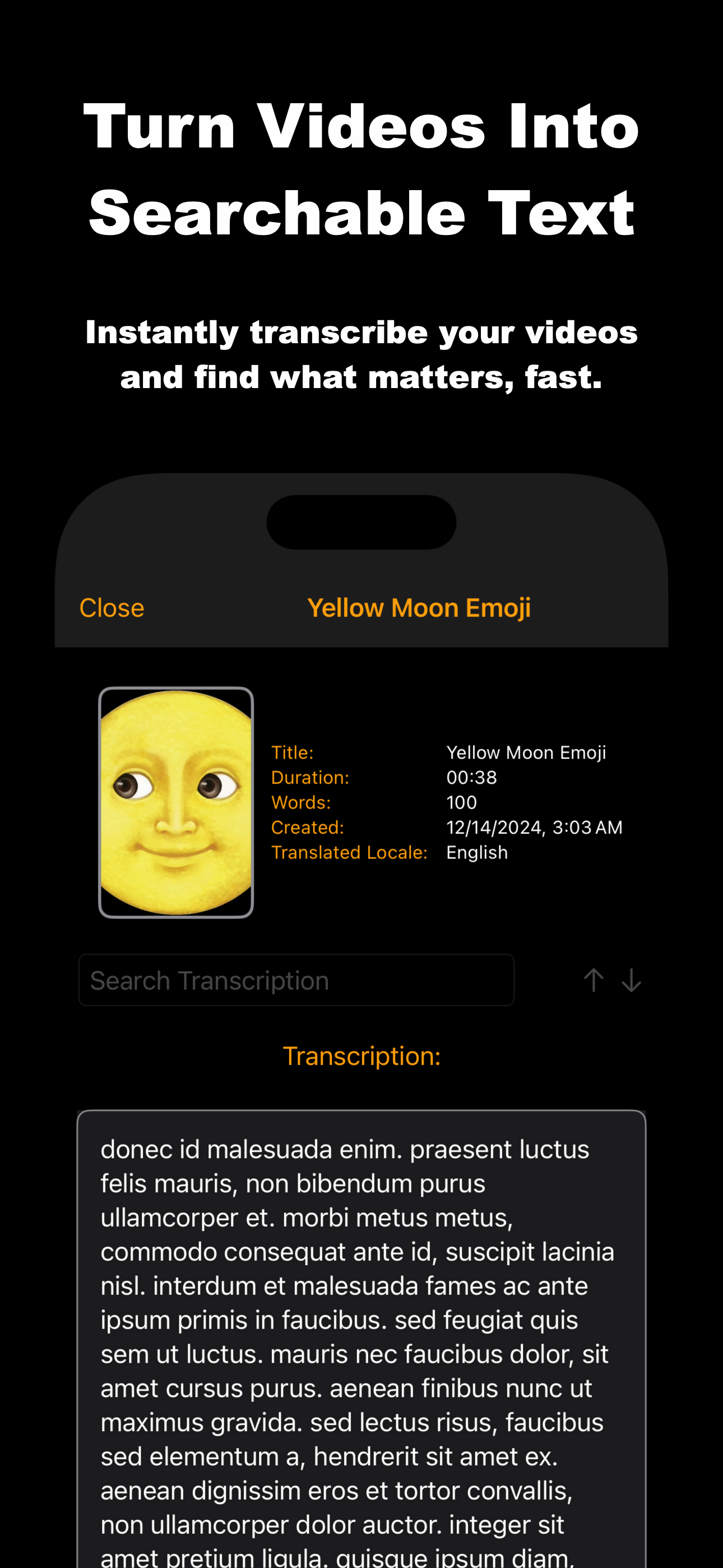 Video Overview Screenshot