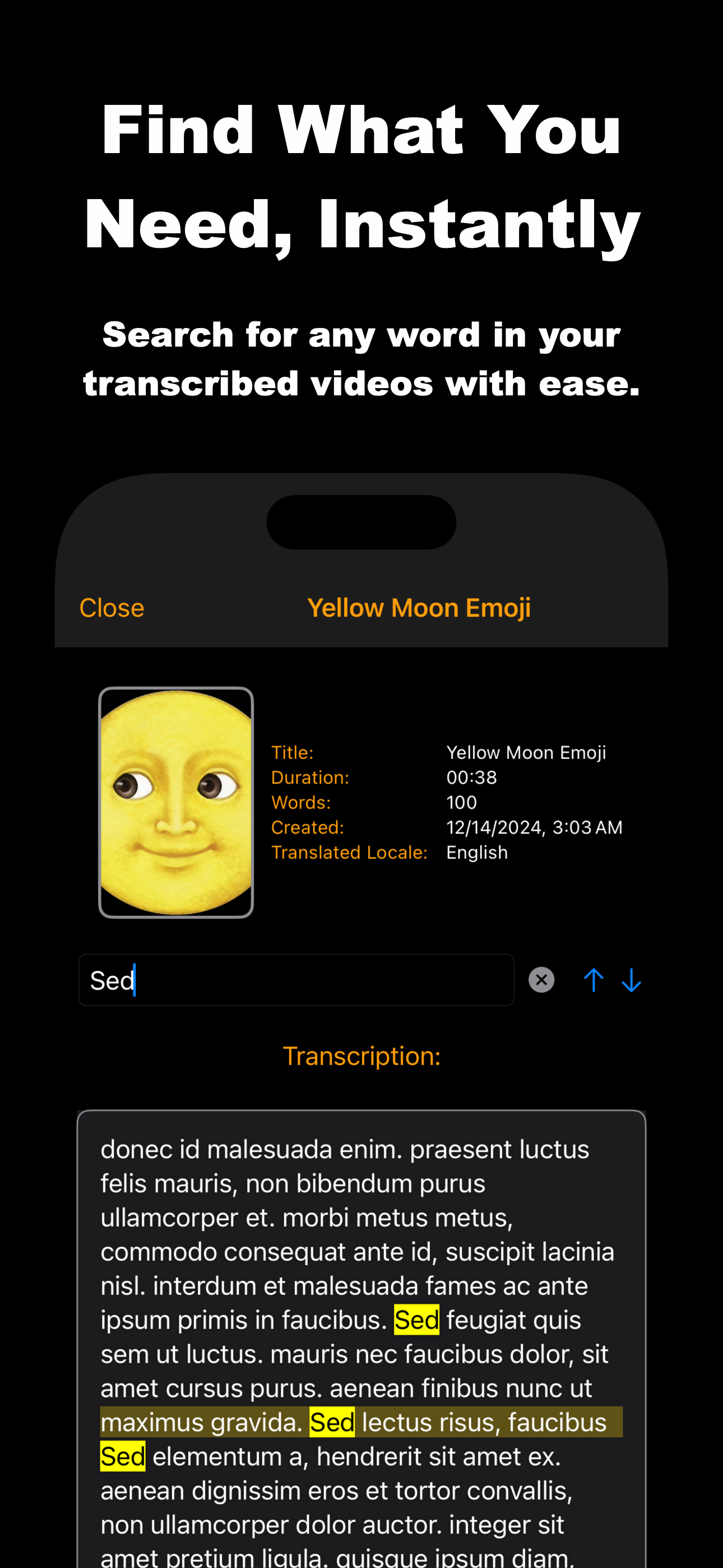 Searchable Video Results Screenshot