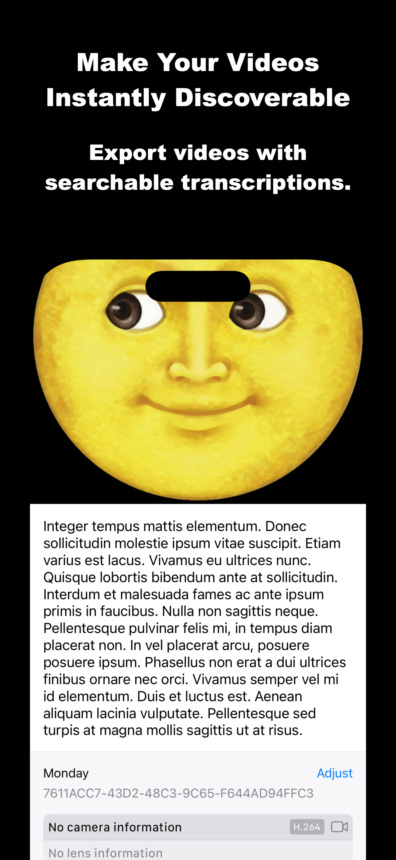 Video Overview Screenshot